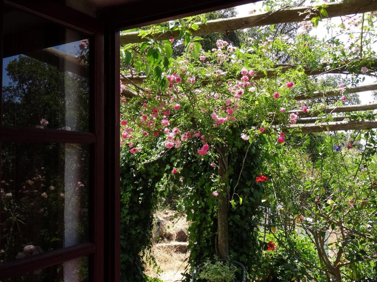 My Room - Villa Vina - Ter モンシケ エクステリア 写真